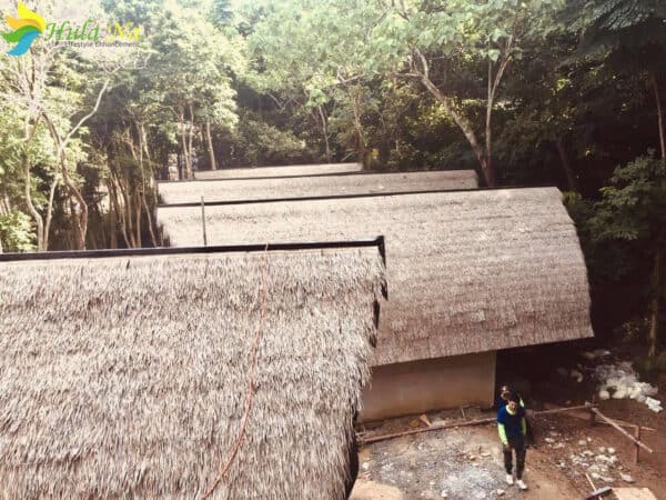 Thi công rơm nhân tạo