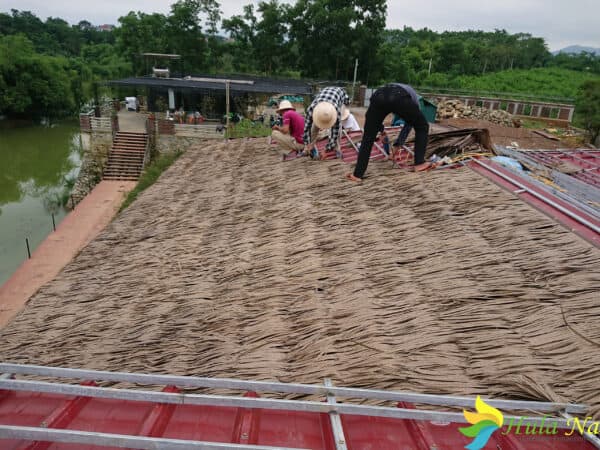 Thi công rơm nhân tạo trên mái tôn
