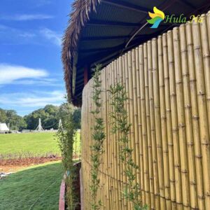 Tre nhựa ốp vách trang trí