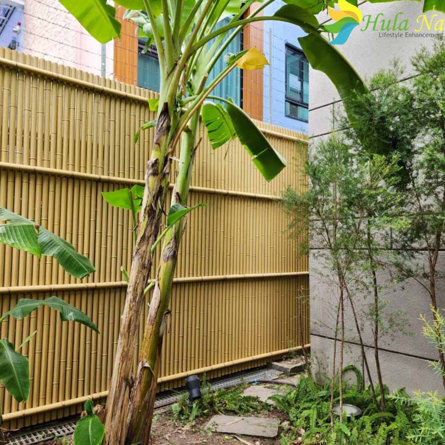 Tre nhân tạo giúp cho không gian trở nên có sức sống và sạch hơn